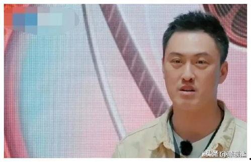 娱乐圈吃瓜爆料名单大全,揭秘吃瓜名单背后的真相